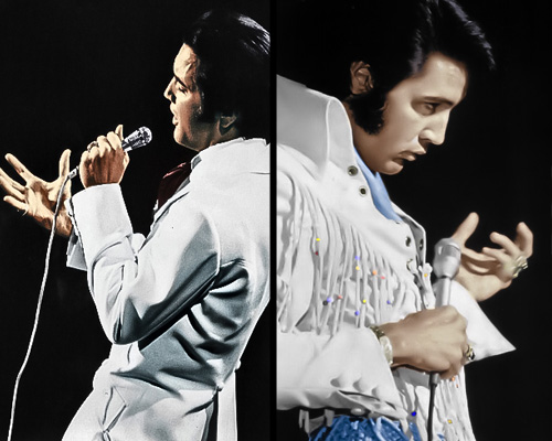 kekeLMB_Elvis_Presley_Le_Concert_Zenith_Paris_2010_(3)