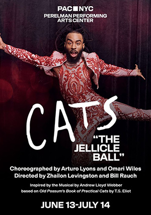 Cats: “The Jellicle Ball” - Perelman Performing Arts Center, New York (2024)
